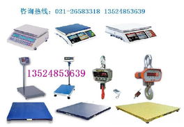 如何選擇專業(yè)的電子秤供應(yīng)商 品質(zhì)、優(yōu)惠與技術(shù)服務(wù)的均衡之道