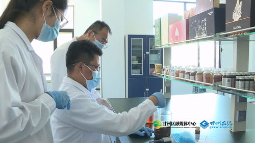 科技匠心賦能食藥同源，青春力量書寫產業華章——何貴山的技術服務之路