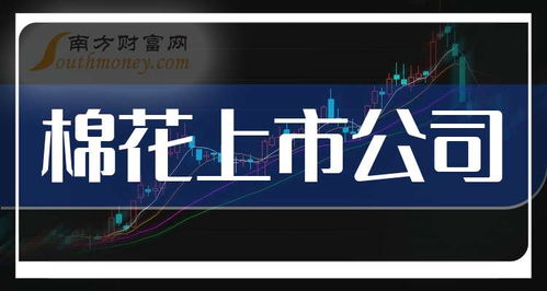 2025年棉花產(chǎn)業(yè)鏈及軟件開發(fā)上市公司龍頭股解析